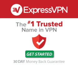 I use it to access YouTube in China, along with facebook, instagram, and gmail.